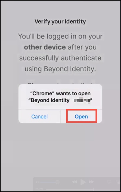 Authenticator